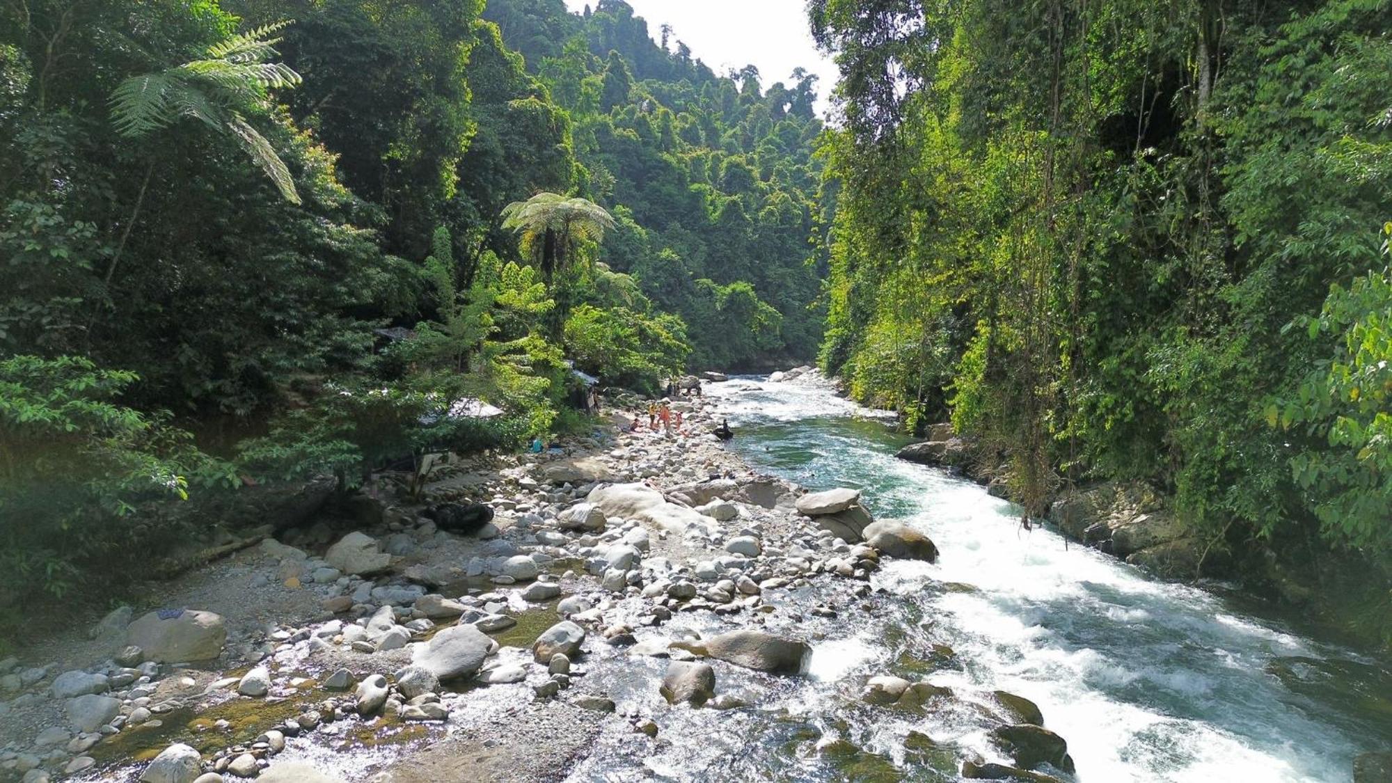 Sam's Bungalows Bukit Lawang Bagian luar foto