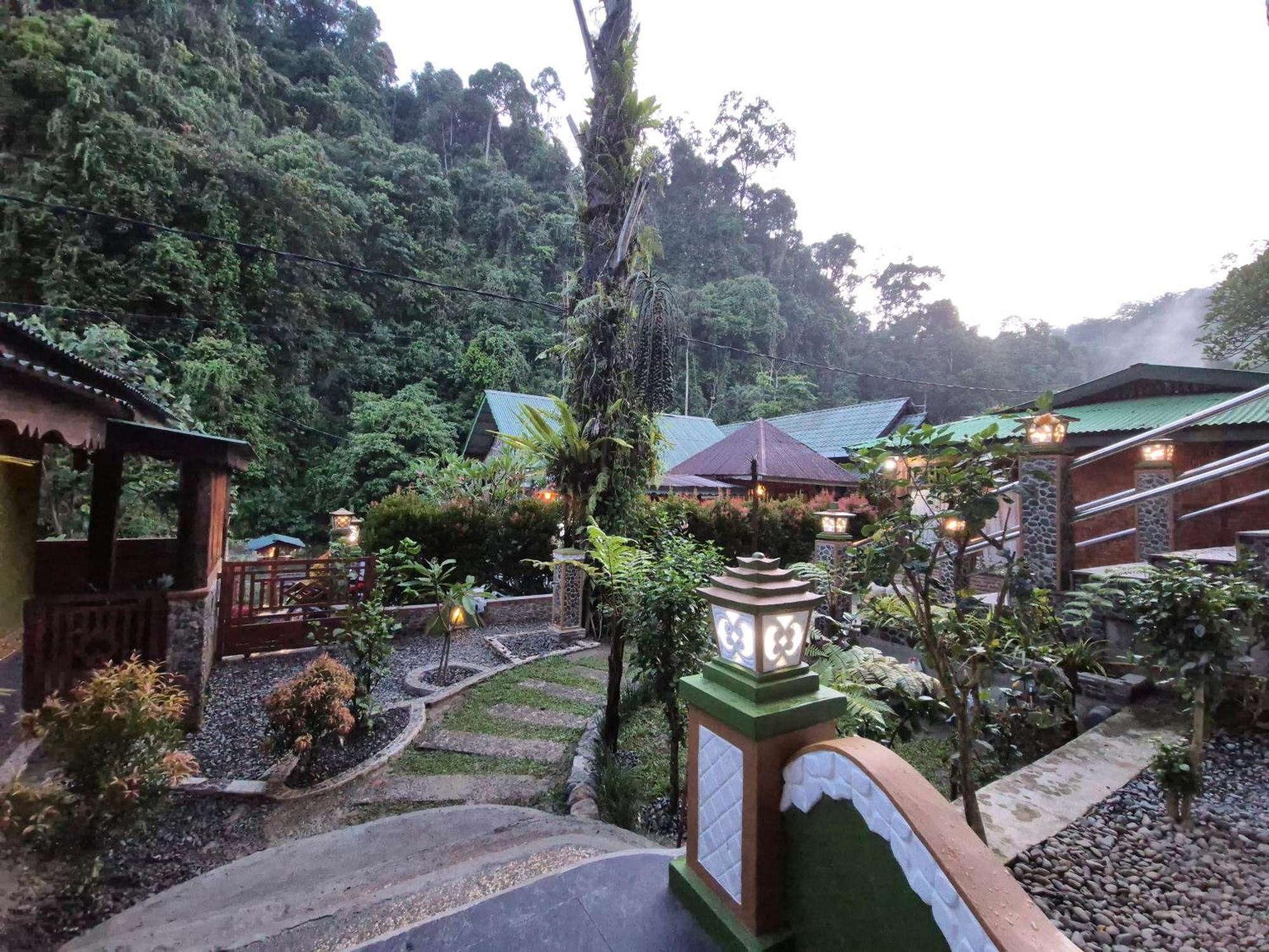 Sam's Bungalows Bukit Lawang Bagian luar foto